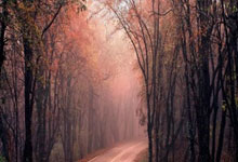 天涯神贴网盘：江湖人的秘密战场