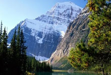 天涯神贴精品排行榜