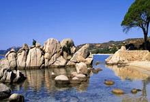 天涯神贴预言楼市截图火遍网络